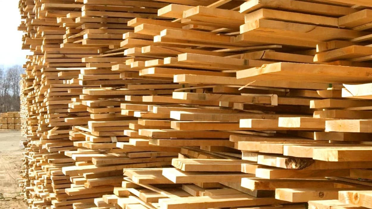 Commerce : Faut-il craindre une flambée des prix du bois d’œuvre ?