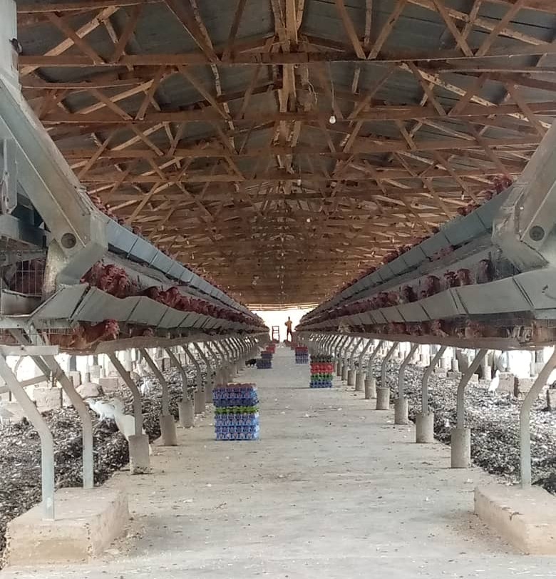 Fermeture de la “Ferme Malaisie” d’Elhadj Alsény Dalaba : Le ministre Ibrahima Kourouma s’explique