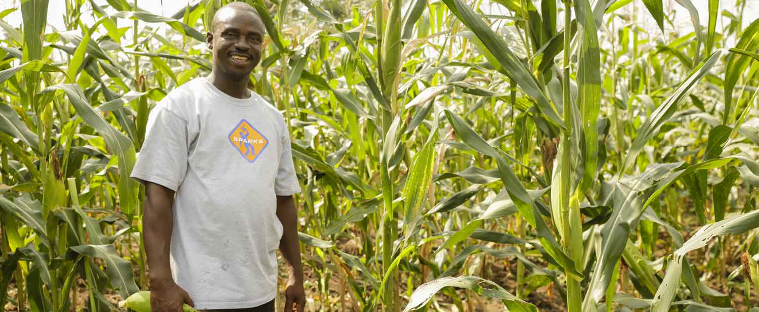 Togo : l’appui stimulant de la Banque africaine de développement ouvre des débouchés aux jeunes entrepreneurs agricoles