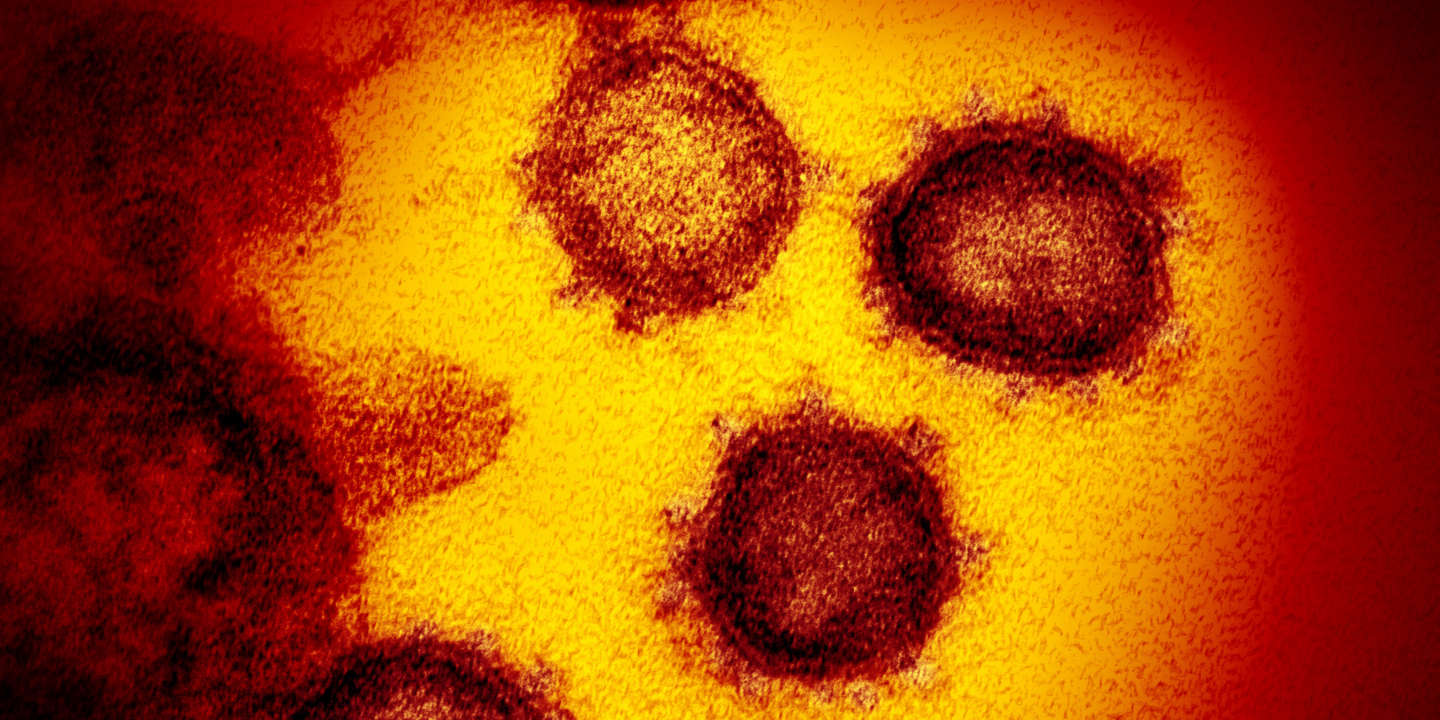 Coronavirus : une nouvelle souche plus contagieuse, mais rien ne prouve encore qu’elle soit plus mortelle (OMS)