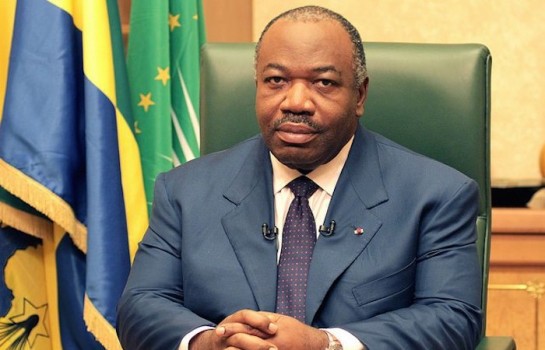 Gabon: le projet de révision de la Constitution à la Une de la presse