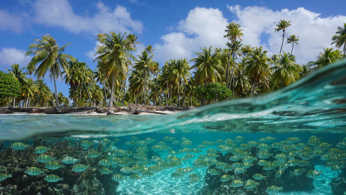 La CNUCED actualise ses directives pour promouvoir un commerce respectueux de la biodiversité