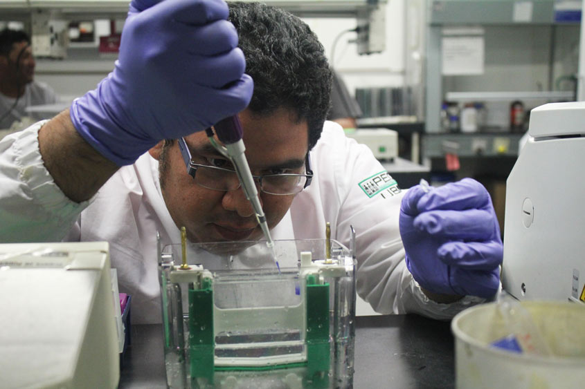 WIPO Re:Search accueille un 150e membre dans la lutte contre les maladies tropicales négligées,