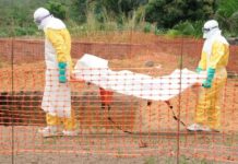 Résurgence d’Ebola en Guinée : cinq morts, 12 cas confirmés et 125 contacts enregistrés