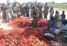 Autonomisation des femmes : une priorité au cœur des interventions de la Banque africaine de développement