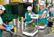 Directeur général de l’OIT: «Mettons les femmes au premier plan de la reprise centrée sur l’humain»