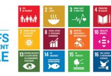 La septième session du FRADD se termine par un appel aux pays pour assurer une représentation complète afin de réaliser les ODD