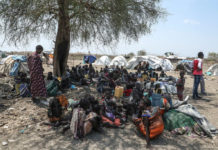 Soudan du Sud : l’ONU réclame que toutes les personnalités soutenant les milices du Grand Jonglei rendent des comptes