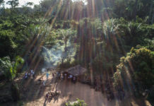 Garantir les droits fonciers des peuples autochtones contribuerait à leur bien-être et à celui de notre planète (ONU)