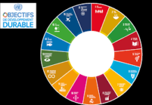 Le ralentissement économique de l’Afrique affecte ses progrès dans la mise en œuvre des ODD