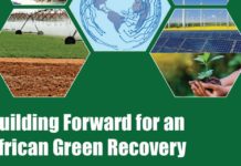 Les activités de la Journée de la Terre amplifieront le rapport sur la relance verte face à la COVID-19 de la CEA