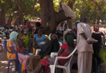 Kankan: Une élève de 16 ans meurt par une chute d’un manguier