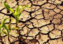 Changement climatique : La CEA joue un rôle de premier plan dans la lutte de l’Afrique