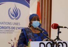 Droit au développement : la Guinée vers la mise en place d’une expertise nationale