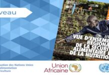 Un nouveau rapport révèle que les fruits, les légumes et les protéines restent hors de portée pour la plupart des Africains
