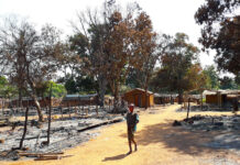 RCA : la FAO se mobilise pour contrer les conséquences immédiates du conflit sur les moyens de subsistance agricoles