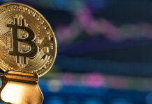 Solution durable ou catastrophe climatique ? Les dangers et les promesses de la technologie des crypto-monnaies