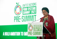 A Rome, les Etats membres de l’ONU planchent sur la transformation des systèmes alimentaires