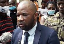 TPI de Mafanco : Condamné à 3 ans 4 mois de prison ferme, Ismaël Condé demande pardon à Alpha Condé