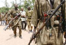 Gaoual: un groupe de donzos débarquent dans la préfecture