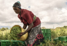 La pandémie de Covid-19 menace le travail accompli pendant des décennies en faveur du développement