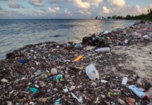 Environnement: L’ONU juge cruciale une réduction drastique des déchets marins et de la pollution plastique