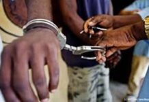 PITA: Des Violeurs en série tombent comme un jeu de domino !