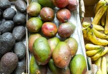 Denrées alimentaires : les prix mondiaux au plus haut depuis juillet 2011 (FAO)