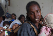 Éthiopie : l’ONU dénonce la « brutalité extrême » et des possibles « crimes de guerre » dans le conflit au Tigré