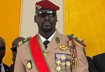 Guinée : La vente aux enchères des véhicules stockés à la Présidence autorisée