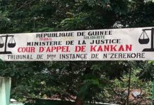 TPI de Nzérékoré : Un ancien ministre renvoyé des fins de la poursuite