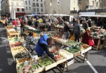 L’OIT revoit à la baisse ses prévisions de reprise du marché du travail pour 2022