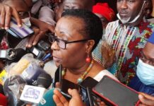 Plenière du CPP-Guinée : Cellou Dalein Diallo désigné porte-parole et Dr Makalé Traoré suppléante