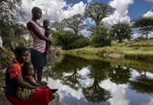 Le Fonds de l’ONU pour stimuler le développement durable annonce 54 millions de dollars d’investissements