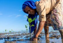 Si l’on veut un avenir durable, il est crucial de prévenir les catastrophes et réduire les risques, selon l’ONU