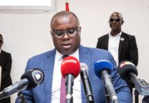 Guinée : le nouveau PM s’engage à poursuivre l’exécution de la feuille de route du Gouvernement