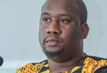 La Guinée a-t-elle un problème de constitution ou de grandeur de ses dirigeants ? (Par Aliou Bah)