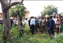 Pendaison à Kankan : Tamba Sidy Millimono met fin à sa vie !!