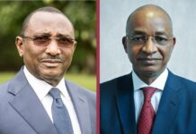 Affaire ‘‘exil forcé’ ’des leaders politiques : Cellou et Sidya brisent le silence