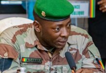 Menaces de sanctions : La présidence guinéenne s’insurge contre le président en exercice de la CEDEAO