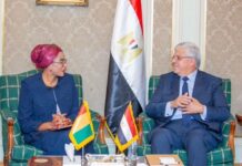 MESRSI: vers la signature d’un accord-cadre de coopération entre les Ministères guinéen et égyptien de l’enseignement supérieur