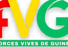 Guinée: la marche des forces vives reportée à nouveau