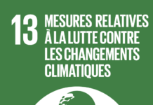 Les investissements, le développement durable et l’objectif 13 des Nations Unies