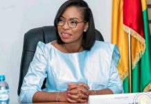 Récemment générale de la population (RGPH4): l’opération lancée à Conakry