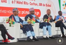 Table ronde des bailleurs à Dubaï: le gouvernement guinéen à la recherche de plusieurs milliards de dollars