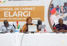 Commerce et Industrie: Dre Diaka Sidibé partage sa vision avec les services déconcentrés de son département