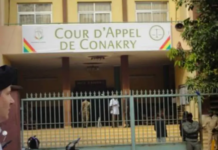 Cour d’Appel de Conakry : Des prestataires de services jugés pour falsification de documents