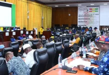 Guinée : le volet recettes de la LFR adopté