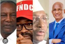 Guinée: l’UFDG, le RPG ARC-EN-CIEL et le FNDC politique se retirent de l’Union Sacrée