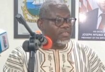 Tentative de déstabilisation de la Guinée: Le Gouvernement libérien fait des révélations